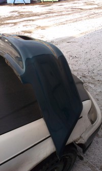 IMAG0295.jpg