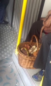IMAG0770.jpg