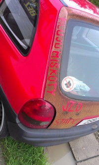 IMAG1276.jpg