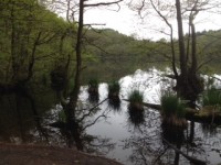 image13.jpeg