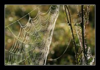 +IMG_0135+.jpg