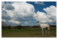 +IMG_0626+.jpg