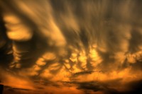 +IMG_0740+.jpg