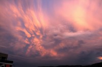 +IMG_0750+.jpg