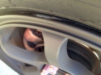 IMG_1554.jpg