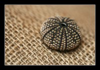 +IMG_1867+.jpg