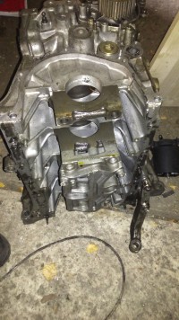 IMG_20160225_100742.jpg
