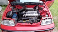 IMG_20160727_145348.jpg