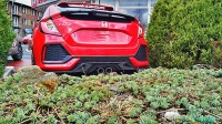 IMG_20170309_104441_AO_HDR-01.jpg