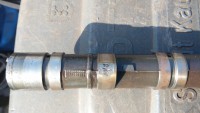 IMG_20170818_091031.jpg