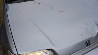 IMG_20180727_191810_1.jpg