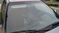 IMG_20180727_191814_1.jpg