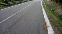 IMG_20180727_192255_1.jpg