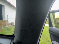 IMG_20190601_202744.jpg