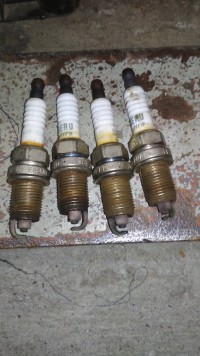 IMG_20201112_165048.jpg