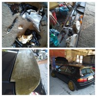 IMG_20230822_153823-COLLAGE.jpg