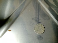IMG_20231127_211055345.jpg