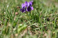 IMG_2052.JPG
