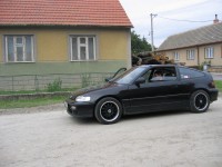 IMG_2613.JPG