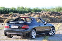 IMG_2925.jpg