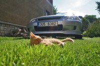IMG_3926_res.jpg