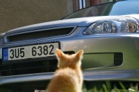 IMG_3933_res.jpg