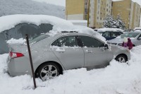 IMG_4049.JPG