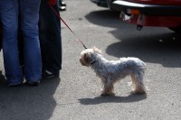 IMG_4486_res.jpg