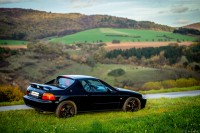 +IMG_4712 LR+.jpg