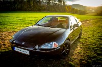 +IMG_4738 LR+.jpg