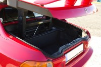 IMG_8773xc.jpg