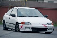 img_8807f.jpg