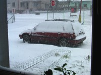 IMGA0509.JPG