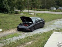 integra civic.JPG