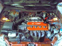 Kopie - Fotografie(658).jpg