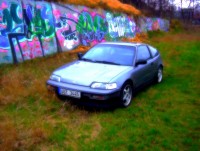 mirra.JPG