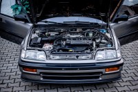 MUL_5033---4256 x 2832.jpg