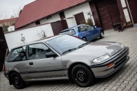 MUL_5052---2048 x 1363.jpg