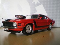 Mustang boss.jpg