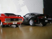 mustangs 2.jpg