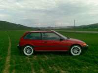 Obraz039.jpg