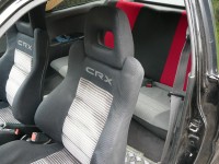 P1130779x.JPG