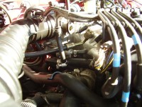 P3150003.JPG