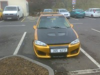 pažout (Medium).jpg