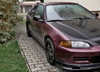 purple ej1.jpg