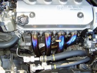 Resize of P8190012.JPG