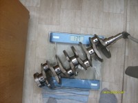 S6300944.JPG
