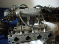 sani  se svody F22B5.JPG