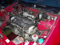 SDC11321.jpg