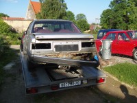 SNV83425.JPG